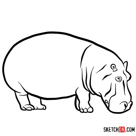 Update more than 81 hippopotamus sketch super hot - seven.edu.vn