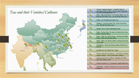 siamteas Teas, Tea Plant Varieties and Tea Cultivars - siamteas