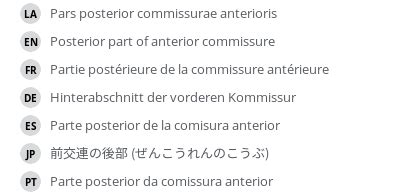 Posterior part of anterior commissure - e-Anatomy - IMAIOS