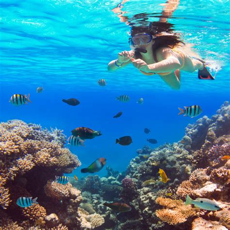 Best Snorkeling in Hawaii | Insider Families