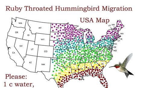 Hummingbird Fall Migration Map 2017 - Maps For You