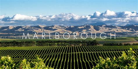 New Zealand's Marlborough Region - A Perfect Pour - DownUnder Adventure Company