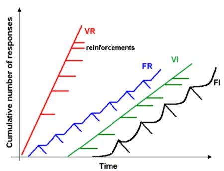 Variable Ratio | Reinforcement Schedule & Examples - Lesson | Study.com