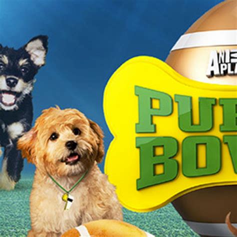 Cutest moments from Puppy Bowl X