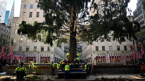 Rockefeller Center Christmas Tree’s Humble Origins, 60 Years Ago - The New York Times