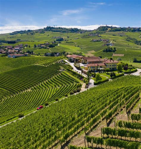 2017 Barolo Vintage: Impressive Wines to Enjoy Now – Flatiron Wines & Spirits - Home