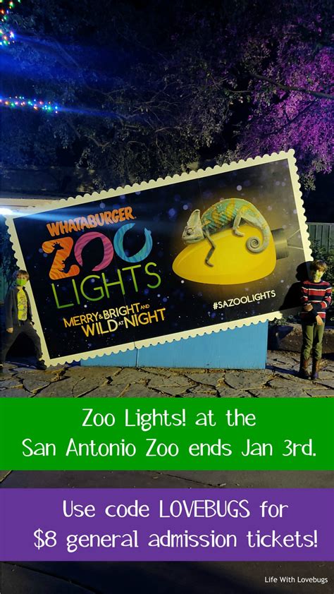 San Antonio Zoo Lights! 2020 - Life With Lovebugs