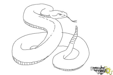 Drawing Snake Heads How To Draw A Snake Head, Draw Snake Heads Step 1 - asapmaid