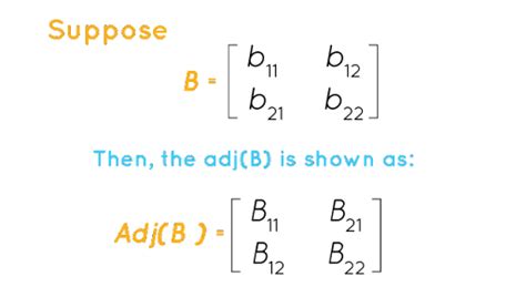 Cofactor Formula Explained | Understanding the Importance of Cofactors