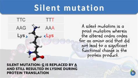 Silent mutation - Definition and Examples - Biology Online Dictionary