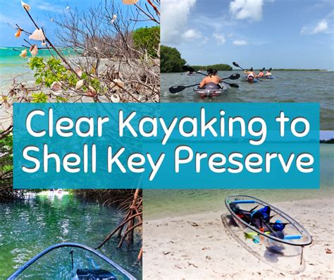 Clear Kayaking in Tampa Bay: Shell Key Preserve Day Trip