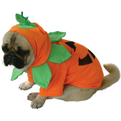 AWWWWWWW | Disfraces para perros, Disfraz para perros halloween ...