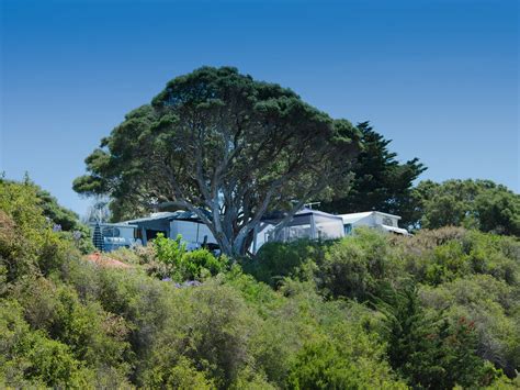 Sorrento Foreshore Camping, Accommodation, Mornington Peninsula ...