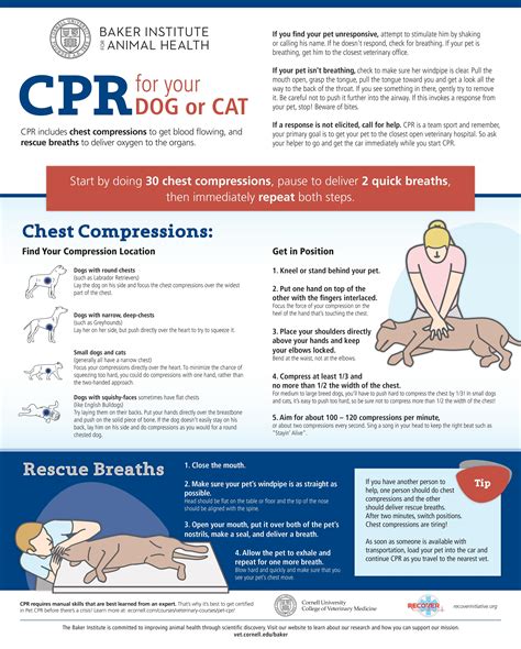 Pet cpr infographic just released – Artofit