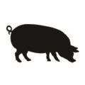 Pig Fat Silhouette Stencil | Free Stencil Gallery