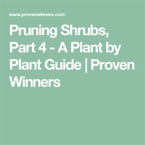 Pruning Shrubs, Part 4 - A Plant by Plant Guide | Proven Winners ...