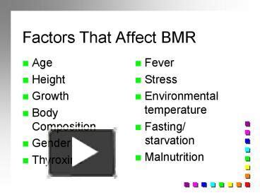 PPT – Factors That Affect BMR PowerPoint presentation | free to view - id: 1ce04-ZWI2M