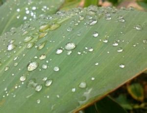 Drops, Drops Of Water, Rain, window, drop free image | Peakpx