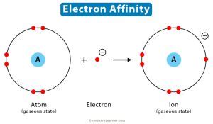 Electron Affinity: Definition, Chart & Trend in Periodic Table