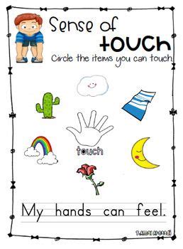 Sense Of Touch - worksheet | Sense of touch, Kindergarten worksheets, Five senses kindergarten