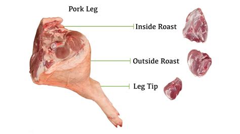 Pork Leg Butchery