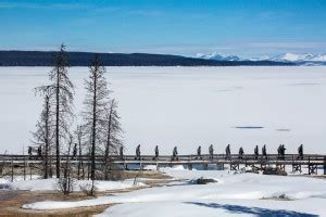 Yellowstone Winter Season Coming to End - Yellowstone Insider