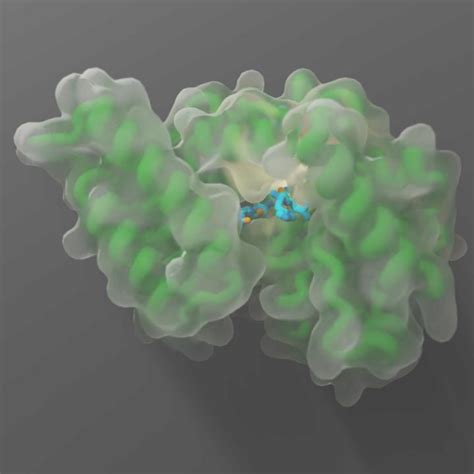 High-throughput platform enables activity map | EurekAlert!