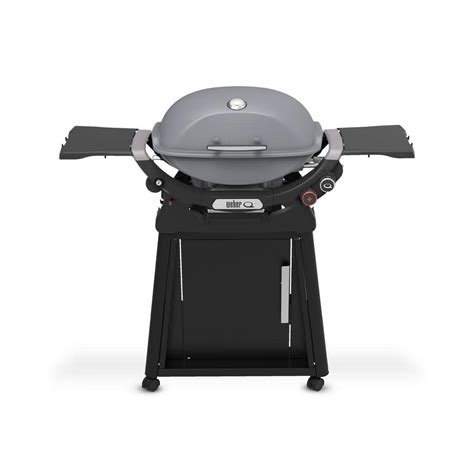 Weber Q 2800N+ 2-Burner Liquid Propane Grill in Smoke Grey with Stand ...