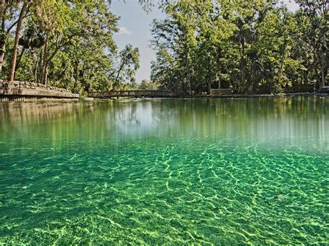 Protect Florida Springs - Fish & Wildlife Foundation of Florida