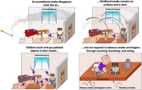 How Can We Test For Tobacco Exposure In Children’s Environments ...