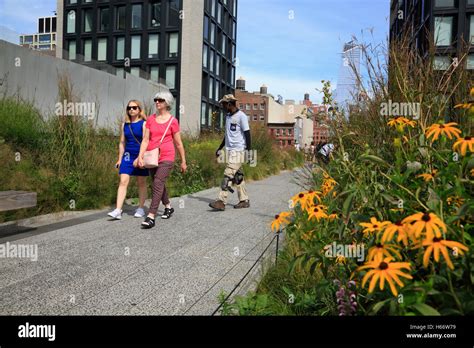 High Line Park, Chelsea, Manhattan, New York, USA Stock Photo - Alamy