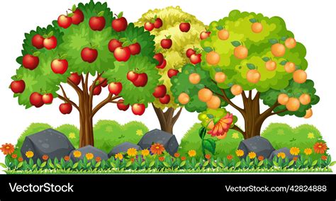 Apple tree and orange cartoon Royalty Free Vector Image