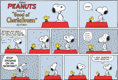 The meaning behind the Woodstock character in ‘Peanuts’