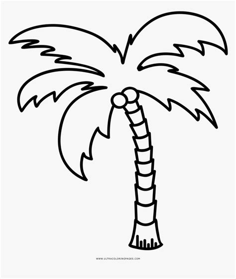 Palm Tree Coloring Page - Palm Tree Line Art, HD Png Download - kindpng