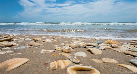 Image of Padre Island National Seashore | 1035119