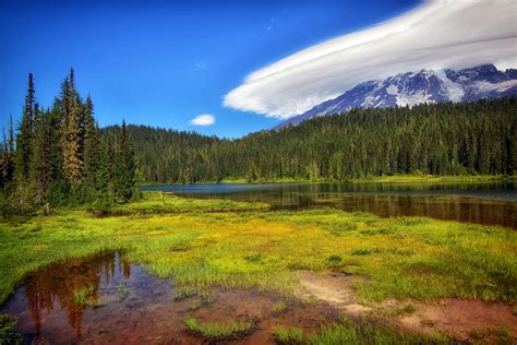 usa, Parks, Scenery, Forests, Lake, Grass, Mount, Rainier, National ...