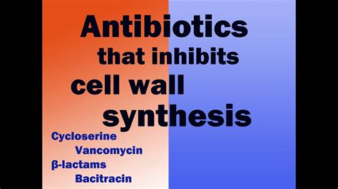 Mechanism of action of Penicillin, Cephalosporin, Vancomycin ...