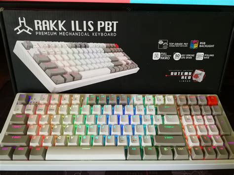 RAKK ILIS PBT white rgb mechanical keyboard hotswap hotswappable red switch, Computers & Tech ...