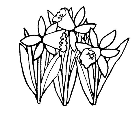 Free Spring Outline Cliparts, Download Free Spring Outline Cliparts png images, Free ClipArts on ...