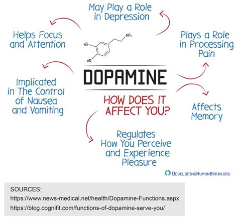 How to Boost Your Dopamine Levels – What It Will Do for You?