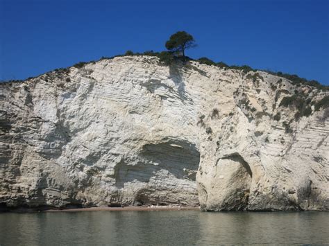 A SEA OF WONDERS IN GARGANO | Gargano Ok