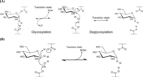 Native to designed: microbial α-amylases for industrial applications [PeerJ]