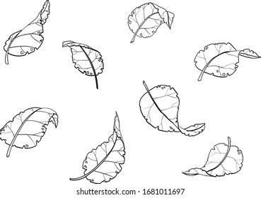 Leaves Falling Drawing