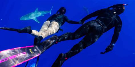 Swim With Sharks Oahu | Top Shark Dive Oahu | Shark Diving Hawaii