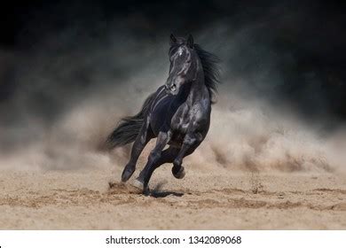 Running Black Horse Wallpaper