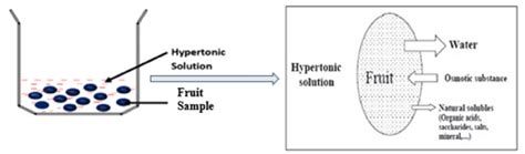 Schematic diagram of the osmotic dehydration process | Download ...