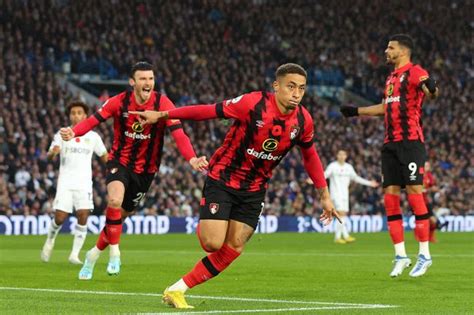 AFC Bournemouth news and reports - DorsetLive