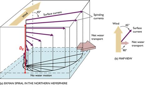 Ekman current, Ekman transport, Upwelling, Downwelling, Wind-driven surface currents