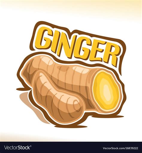 Ginger Royalty Free Vector Image - VectorStock Free Vector Images ...