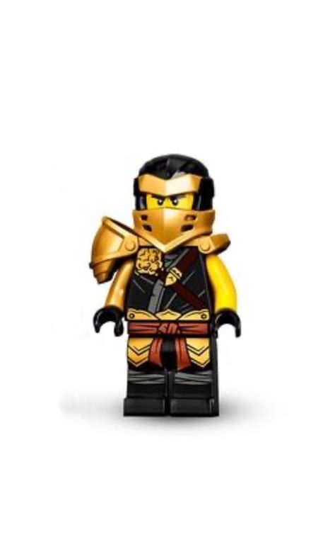 LEGO 71722 Ninjago S13 Master of the Mountain Cole, Hobbies & Toys ...